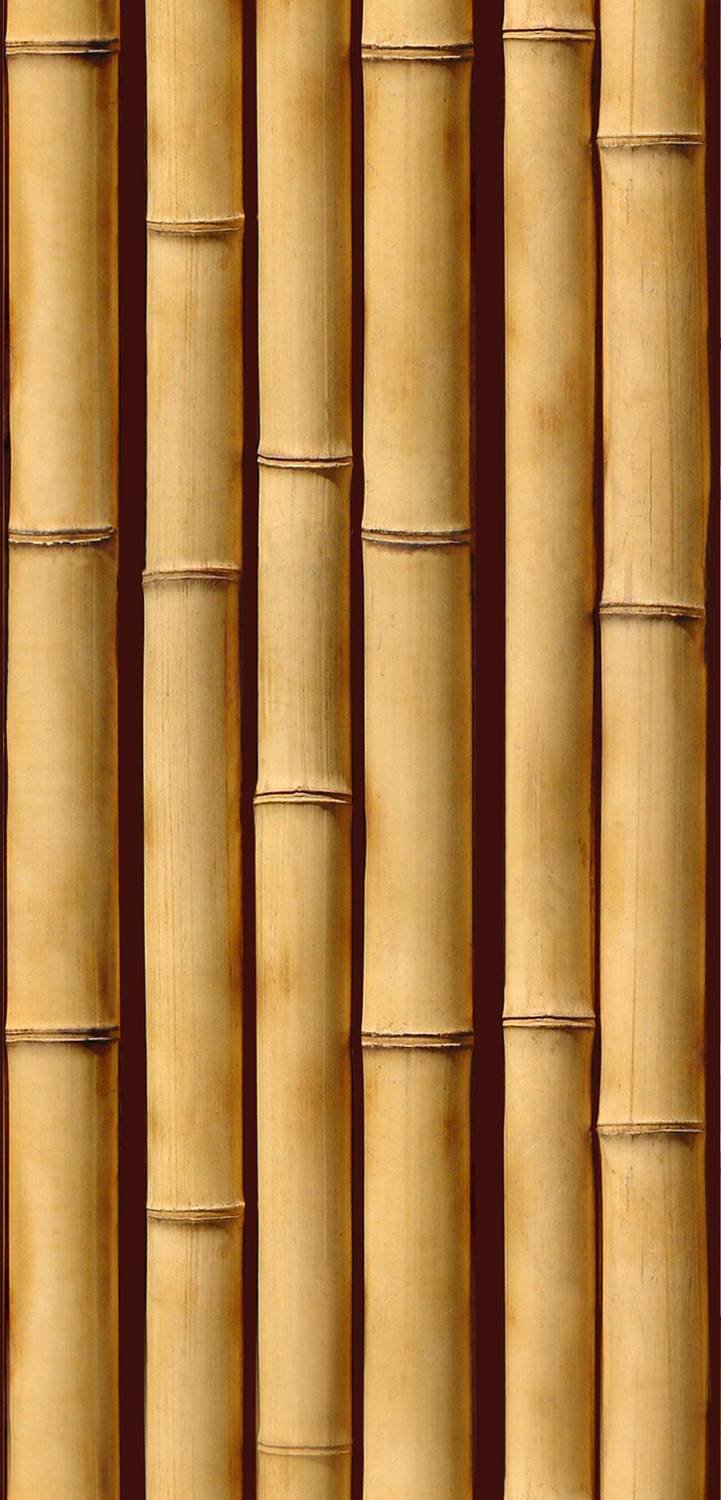 Примеры использования бамбуковых панелей